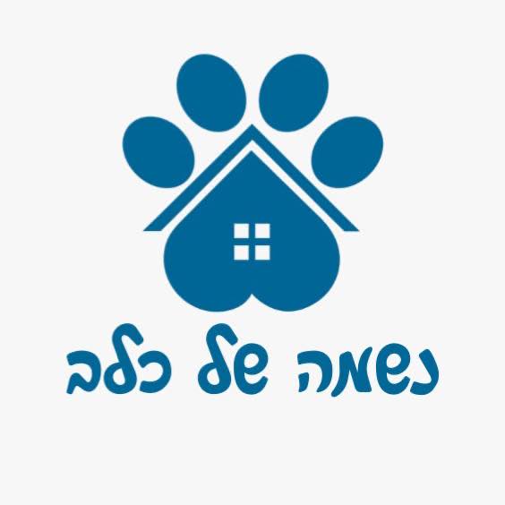 נשמה של כלב
