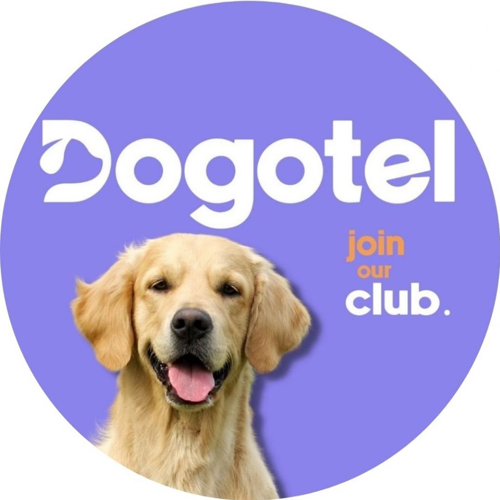 דוגותל - Dogotel