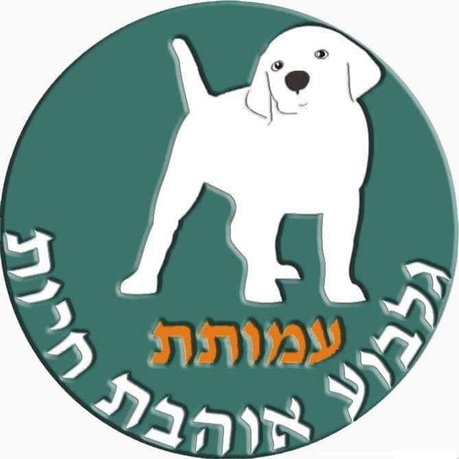 עמותת גלבוע אוהבת חיות